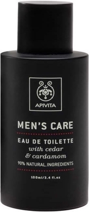 APIVITA MENS EDT 100ML